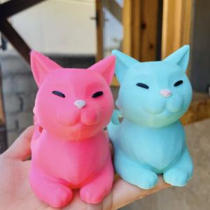 Porta completos Gato