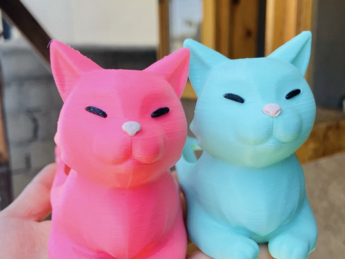 Porta completos Gato